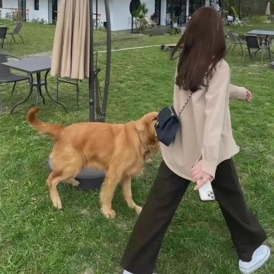 皇家医生